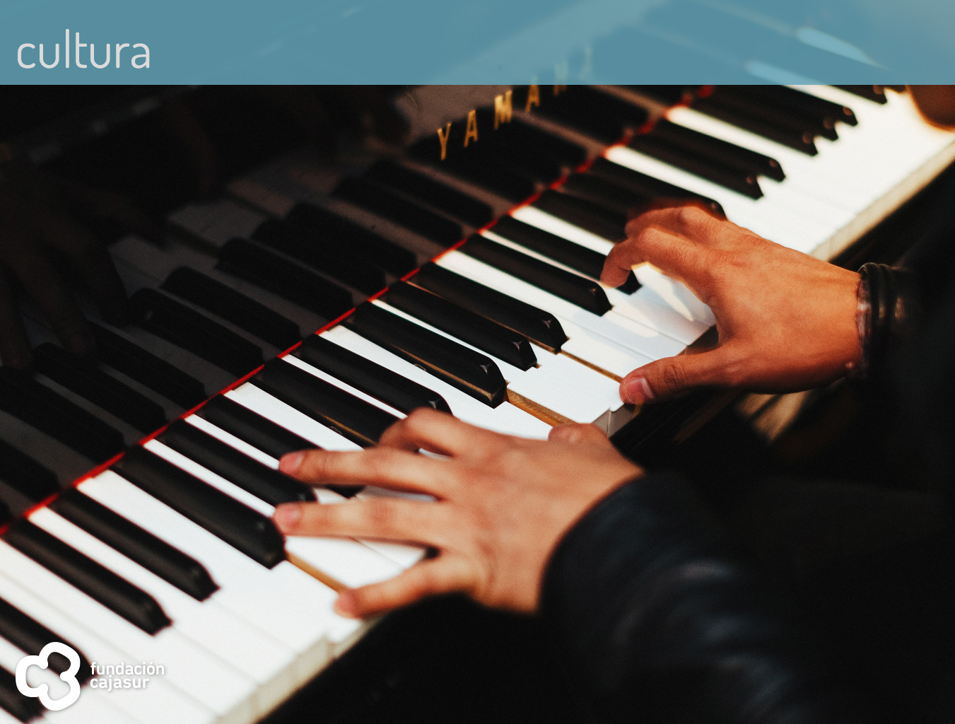 fip-piano-movil