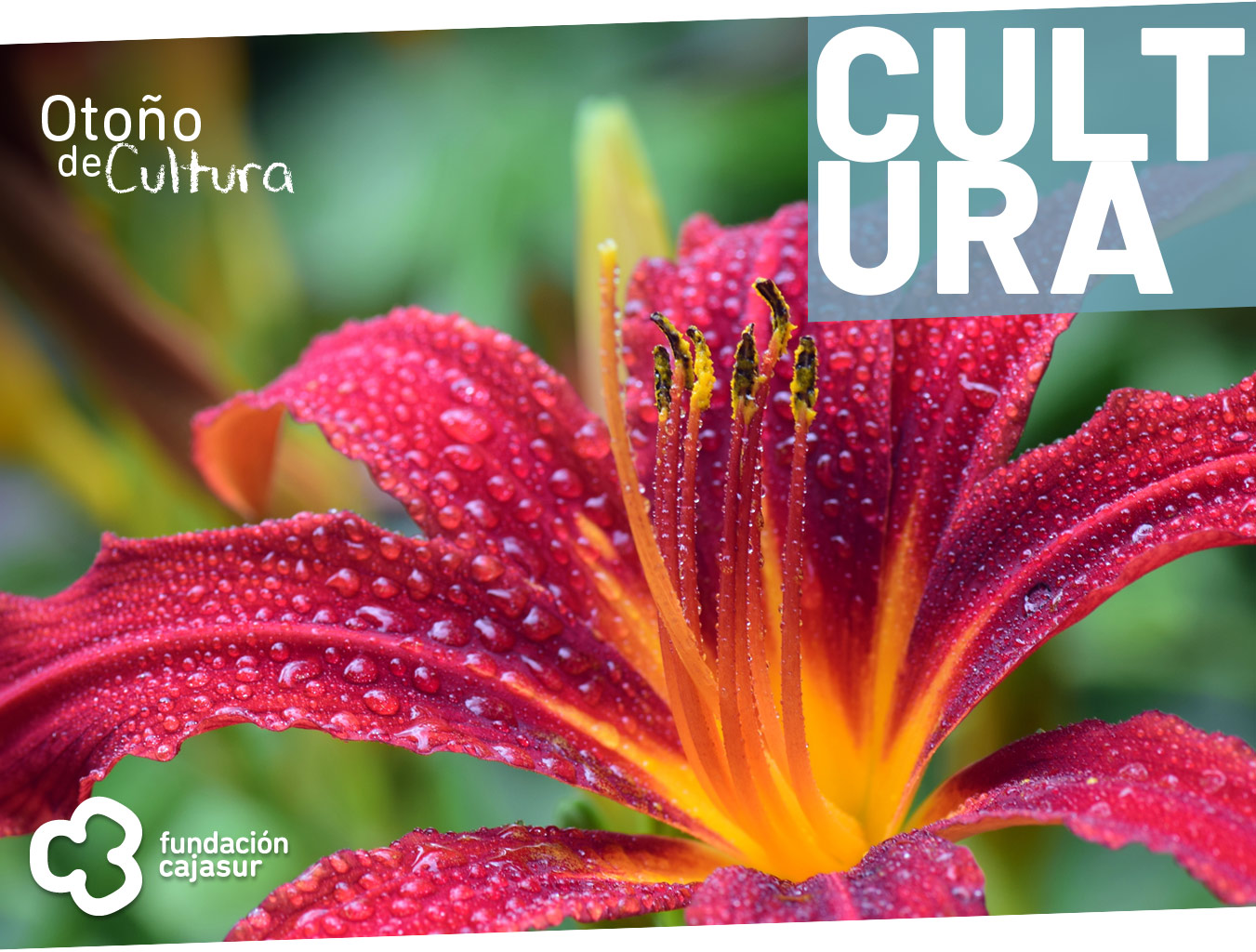 Flora 2022