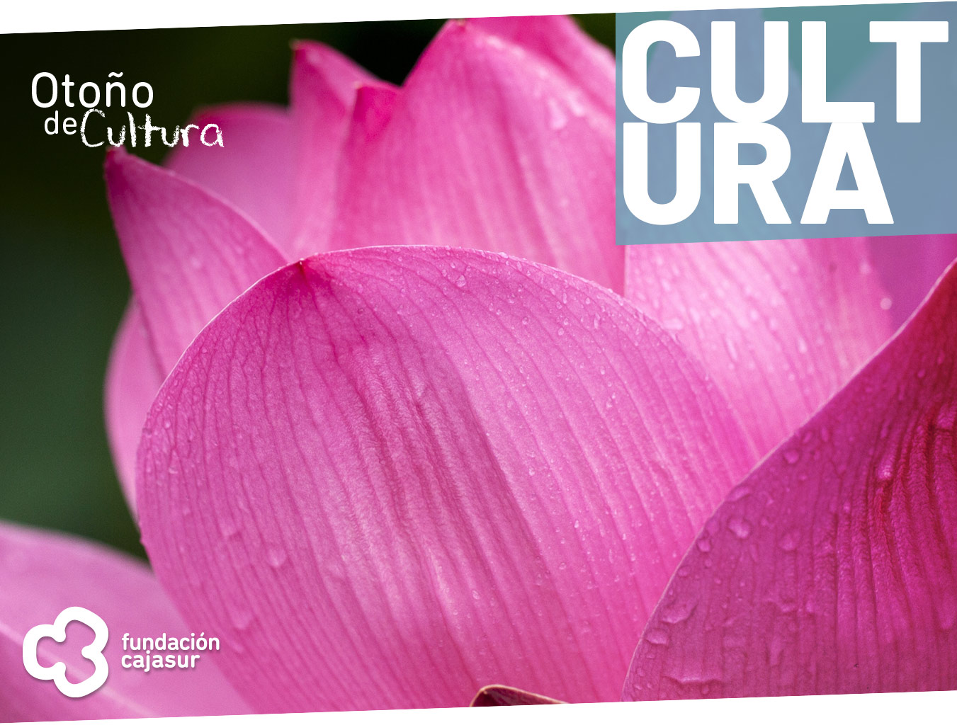 Flora 2022