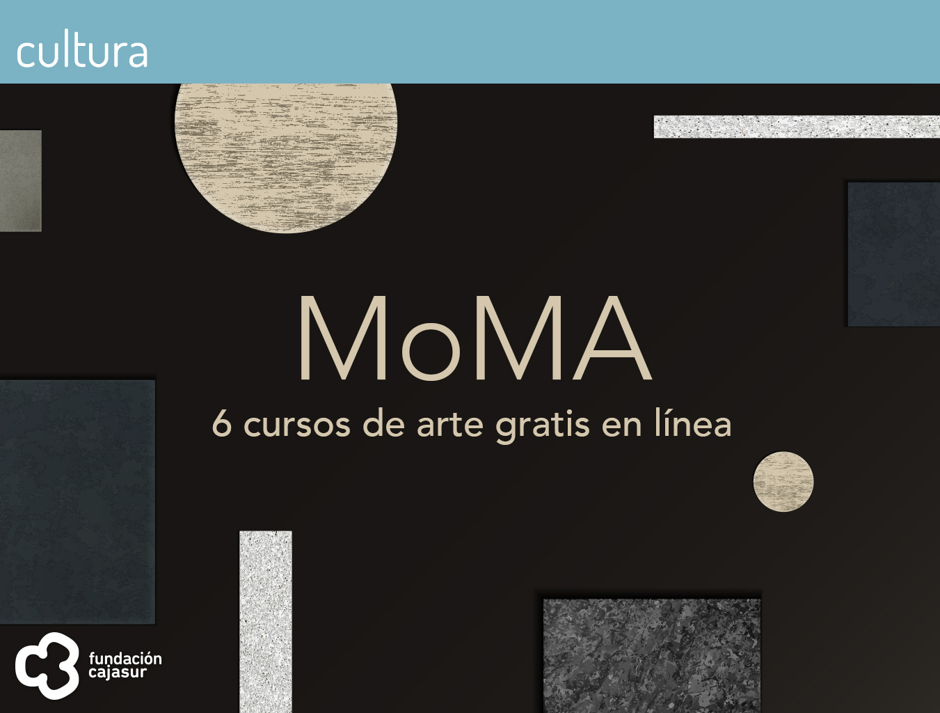 MoMA Cursos