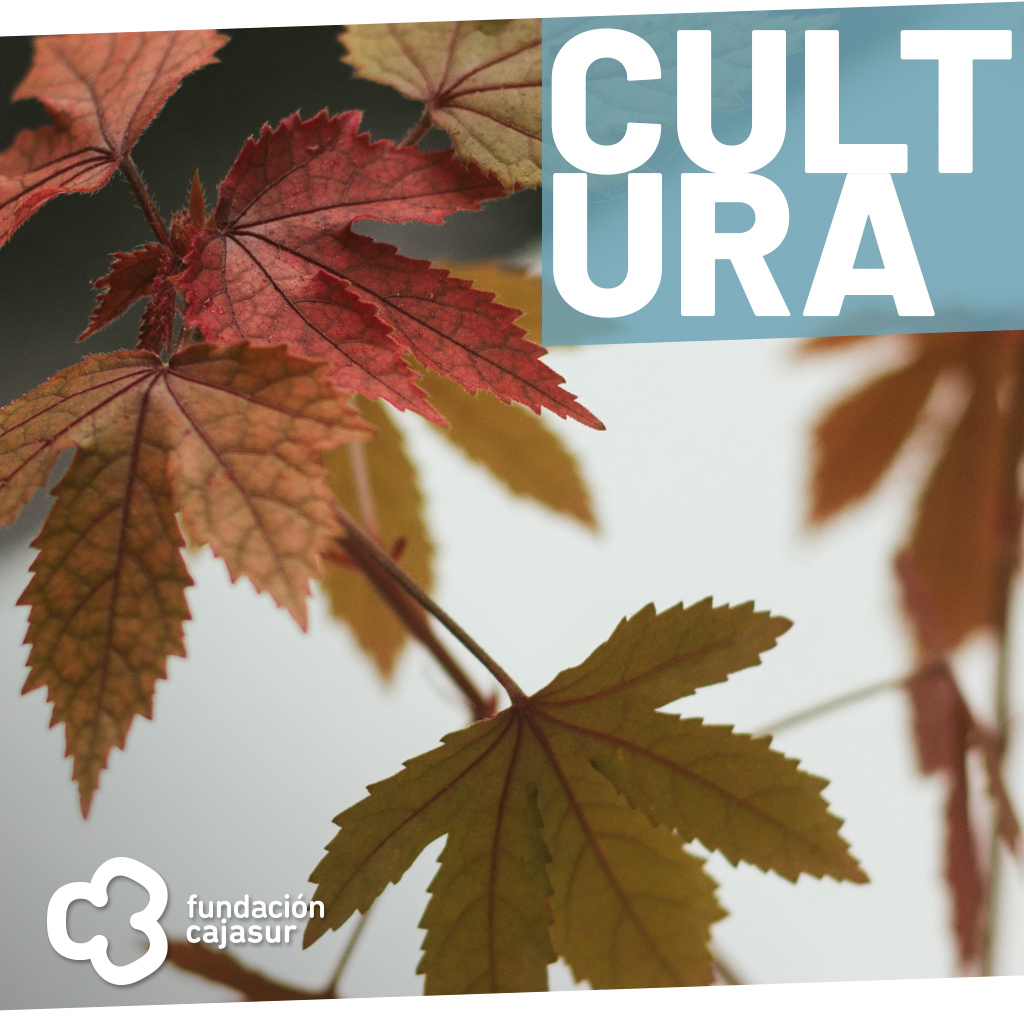 Otoño de Cultura