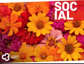 Asistente artístico Flora 2022 Asistente artístico Flora 2022