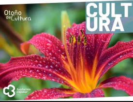 Flora 2022