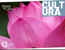 Flora 2022