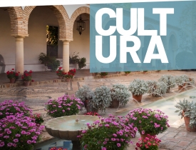 Jornadas de Puertas Abiertas Palacio de Viana