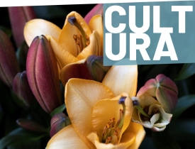 Flora 2023 Flora 2023