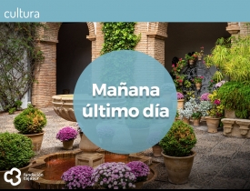 palacio de viana último día